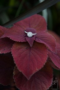 Amanda and Mark engagement-10